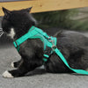 Reflective Dog & Cat Harness Vest with Lead, XL Grey - Breathable & Adjustable