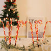 10 in 1 Christmas Cane Lights Holiday Indoor Garden Decoration Lights(AU Plug)