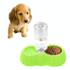 Pumpkin Pet Feeder with Automatic Waterer (Green, Small)