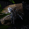 HENGJIA 8cm 7g Lua Spider Soft Bait Bionic Mimic Bait, Color: 5 Colors
