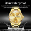 OLEVS 7003 Men Multifunctional Waterproof Mechanical Watch(Gold)