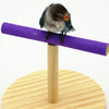 Large Frosted Wooden Parrot Perch Stand - Bird Toy