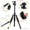 YUNTENG VCT-190 Aluminum Tripod Mount Monopod with Ball Head