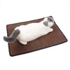 Large Sisal Cat Scratching Mat - 60x90cm - Random Colour