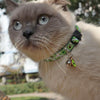 Avocado Cat Collar with Bell, Adjustable, 28cm (Small Dogs Too)