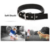 Black Dog Collar, Padded, Adjustable, Large (46-55cm)
