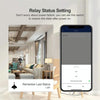 2CH Zigbee Smart Switch Module For Alexa / Google Home / Tuya Smart Life APP