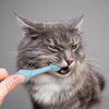 Silicone Pet Toothbrush Set (Green) - Cat & Dog Dental Care