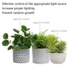 LED Plant Growth Lamp Full Spectroscopy Intelligent Timing Indoor Fill Light Ring Plant Lamp, Power: Two Head(Pink Light)