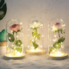 Simulation Roses Lights Glass Cover Decorations Crafts Valentines Day Gifts(Gold)