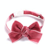 Velvet Bow Collar for Cats, Dogs & Rabbits (S, 17-30cm, Bean Paste)