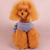 Small Dog Woollen Skirt, Blue-Grey, Size M