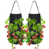 Felt Hanging Strawberry Naked Root Plant Non-woven Planting Bag, Size:50 x 30 x 25 cm(Black)