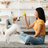 O5 Smart Cat Toy Ball, Self-Rotating, Luminous, Yellow, 2.4"