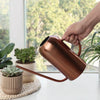 1500ML Household Gardening Stainless Steel Long Spout Heighten Watering Pot, Specification: Matt Black