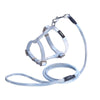 KAFULI Adjustable Dog Harness & Lead, Small, Gradient Blue