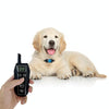 Dog Training Collar, Rechargeable Waterproof Shock Collar with Remote
