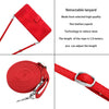 For Samsung Galaxy A36 5G Dream Triangle Leather Phone Case with Long  Lanyard(Red)