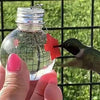 Hummingbird Feeder, Outdoor Hanging Bird Feeder, Easy Clean