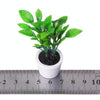 3 PCS Green Plant Pot Culture Doll House Miniature Garden Accessories