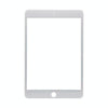 iPad Pro 9.7" A1673/4/5 Front Glass Lens (White)
