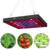 LED Plant Light Quantum Board Greenhouse Seedling Plant Growth Supplementary Light Full Spectrum Plant Planting Light, Power: 81 Beads EU Plug