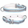 Reflective Blue S Velvet Dog & Cat Collar - PU Leather