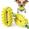 Prickly Pear Dog Chew Toy - Yellow - Teeth Cleaning & Treat Dispensing