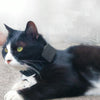 CJ230 Mini GPS Pet Tracker - Real-Time Tracking & 20-Day Battery
