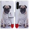 For Samsung Galaxy A36 5G / A56 5G Coloured Drawing Flip Leather Phone Case(Pug)
