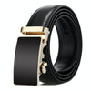 Dandali Casual Men Automatic Buckle Belt Business Soft Leather Pants Band, Length (cm): 110cm(ZD-27)