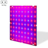 LED Plant Growth Lamp Red Blue Spectrum Flower Fill Light Planting Lamp Room Quantum Plate Plant Light, Power: 81 Beads EU Plug