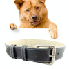 Large Black Leather Dog Collar, 2.5cm x 51cm (L)