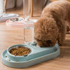 Automatic Pet Feeder Stainless Steel & Blue - Cat & Dog Bowls
