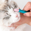 Cat Eye Tear Stain Remover Brush - Blue/Pink