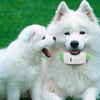KH-909 GPS Tracker - Waterproof Pet/Kid/Elderly Tracker (White/Blue)
