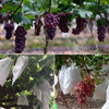100pcs Waterproof Grape Packaging Bag Paper Bag Fruit Protective Bag, Specification:29x38, Random Color Delivery