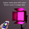 50W RGB Photography Fill Light For Live Broadcast Studio(US Plug)