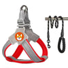 Reflective Dog Harness & Lead, Red, 1.5m, Size S