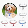 Diamond Dog & Cat Collar, Small, Black/White - Rhinestone Pet Jewellery