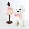 Adjustable Cat & Small Dog Bow Tie Collar, Organza, S (17-32cm)