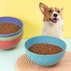 Slow Feeder Dog & Cat Lick Bowl (Green) - Anxiety Relief