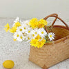 Simulated Flower Arrangement Table Ornament Picnic Photo Props, Style: 5pcs Yellow Daisy Transparent Bag