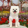 Cat Cooling Vest Harness Set, Red, L, Breathable Mesh