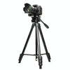 YUNTENG 696 SLR Tripod General Mobile Phone Stand(Black)
