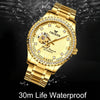 FNGEEN 8073 Men Automatic Mechanical Watch Diamond Hollow Fashion Watch(Full Gold Black Surface)