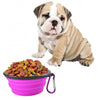 Collapsible Silicone Pet Travel Bowl (13cm, Random Colour)