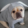 Grey Rabbit Ear Pet Sweatshirt, XL (Dog & Cat)
