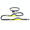 Reflective Dual Handle Telescopic Dog Lead (Black/Green)