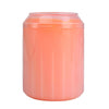 Large Orange Dog & Cat Paw Cleaner Cup - Silicone Bristles